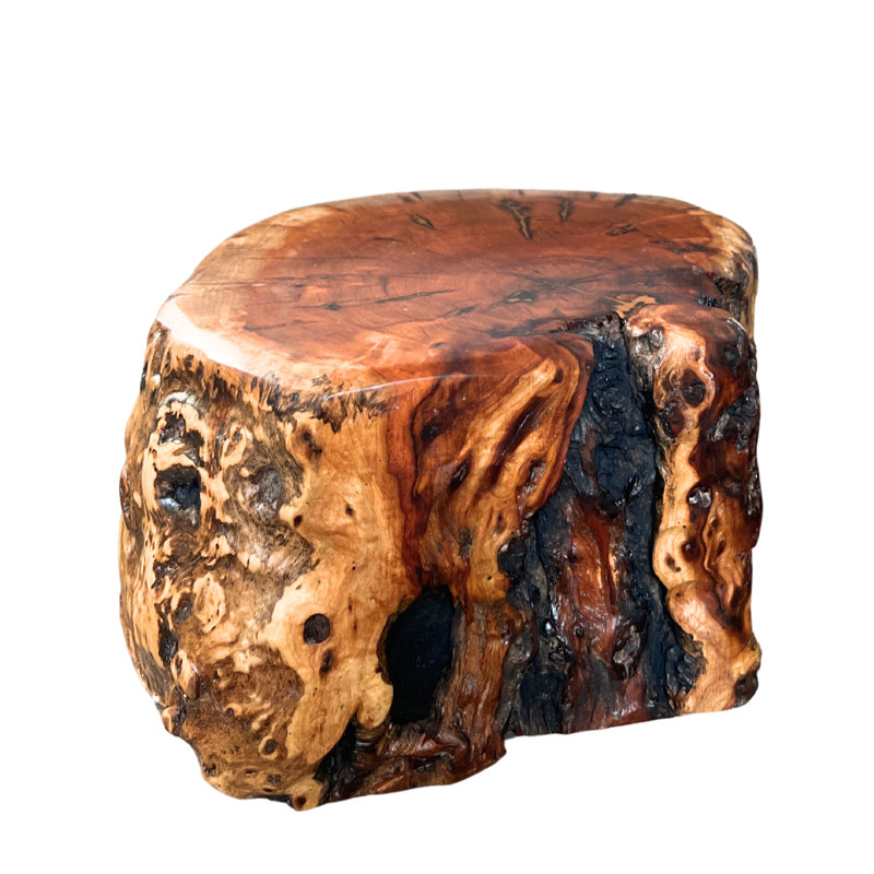 Natural Tree Trunk Stump Stool With Live Edge Solid Wood Plant Stand, Stool, Garden Bench, Side Table, End Table (d11in X H6in)