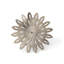 Dahlia vieilli de la collection Park Hill-1284755034-1284755033