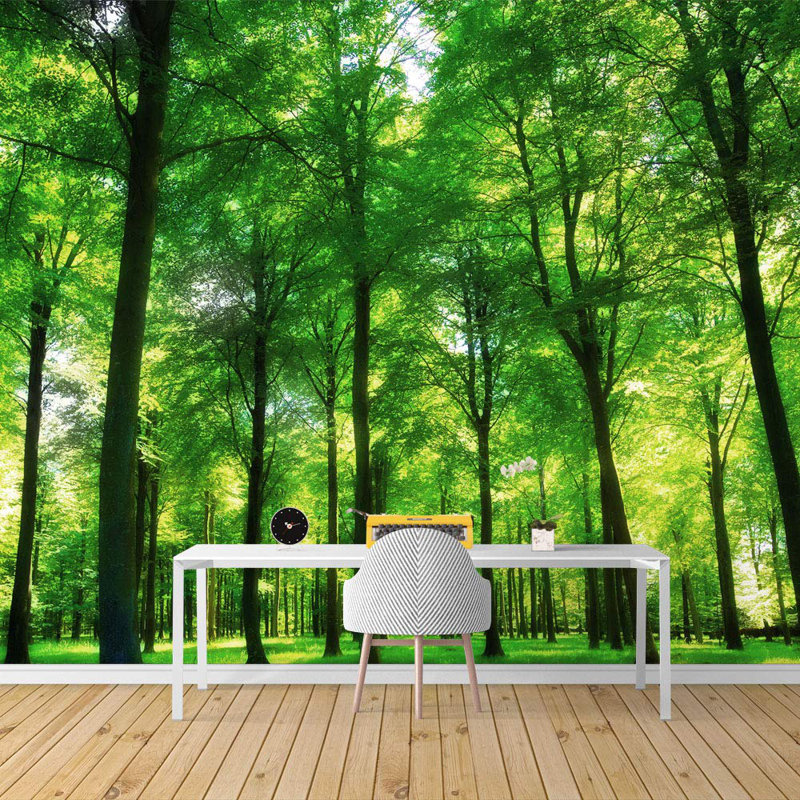 Peel & Stick Border, 100" L x 144" W