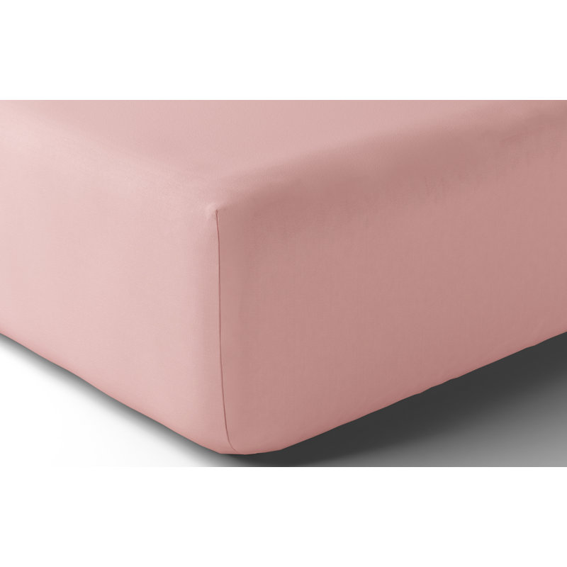 Vexin 100% Cotton Percale Fitted Sheet, King, Rose