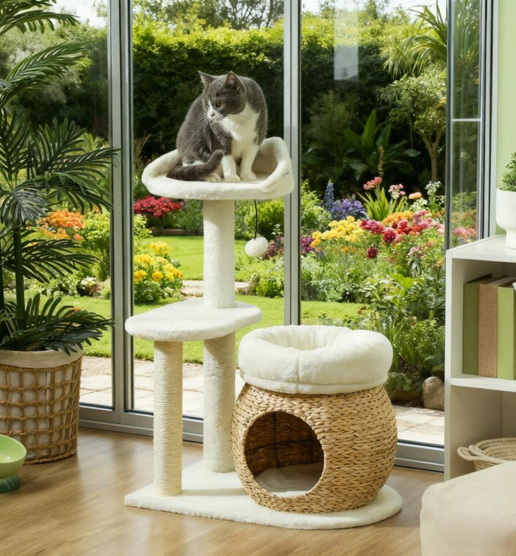 Téléchargement: 53 
Tour à chat 31 "avec poteaux à griffer 31"