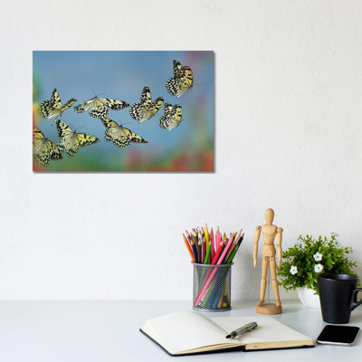 Paper Kite Butterflies Flying, Philippines by Tim Fitzharris - Print on Canvas