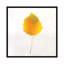 « automne colors iii », impression sur toile-73162197-73162196-20829003