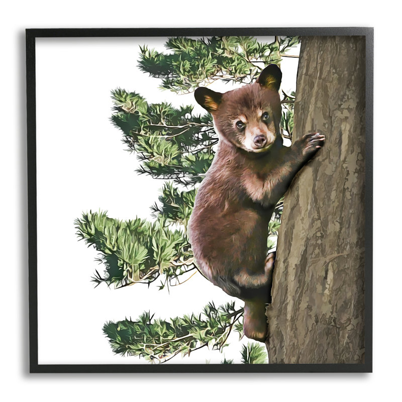 «Bear Cub Climbing Tree Nature» par Kim Curationa - Cadre flottant, impression sur bois, Giclée encadrée noir minuit