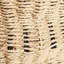 Bay Isle Home Abbass Wicker Decorative Bin