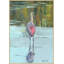 Spoonbill 1 Print