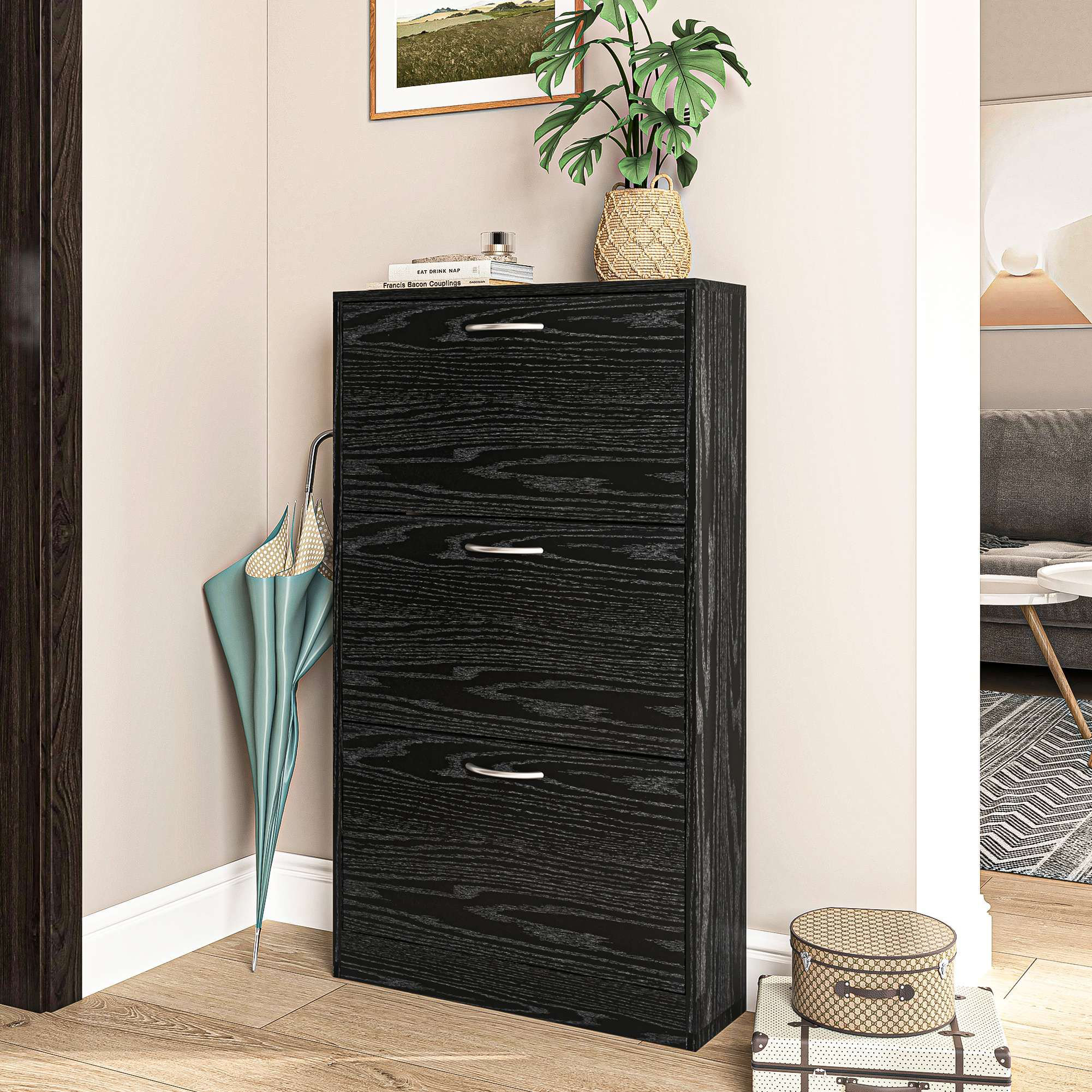 https://assets.wfcdn.com/im/28673521/compr-r85/2470/247017792/12-pair-shoe-storage-cabinet.jpg