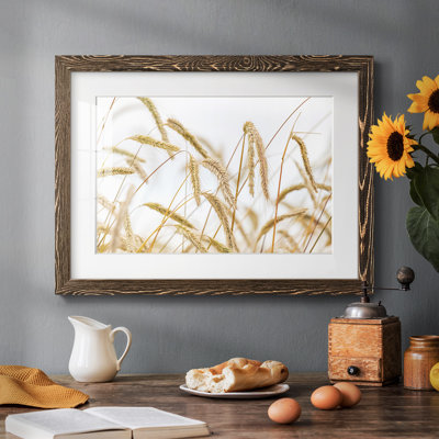 " Wheat "