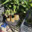 Photos des clients 4 de 6