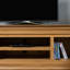 Remley TV Stand with Fireplace Included