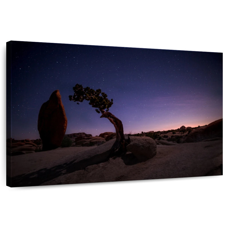 Nicci Joshua Tree Night Landscape, 8" H x 12" W