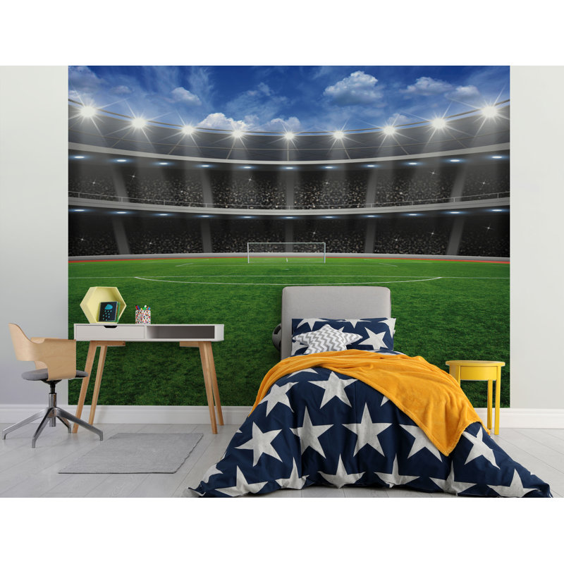 6 Pieces Football Crazy 3.05m x 2.44m Matte Wall Mural