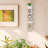 Pelicieux 5-Tier Solid Floating Wall Shelf-868090074