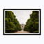 Museum Campus Print by Tim Klein