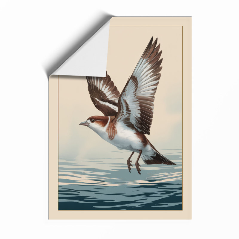 Seabird In Flight Coastal - Print, Unframed, A1 - 84.1 x 59.4 cm