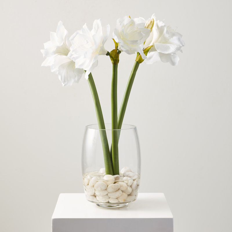 Amaryllis & River Rocks Everyday Amaryllis Floral Arrangements in Vase