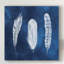 Reproduction sur toile, "Cyanorph Feathers I" par Grace Popp-535893796
