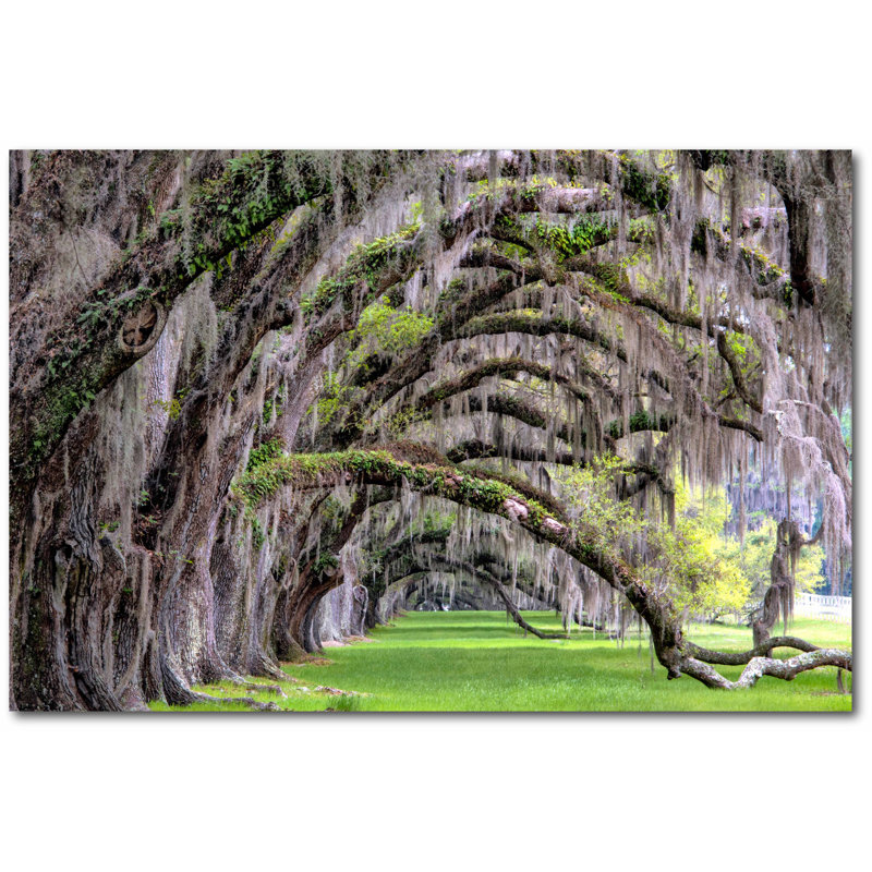 « hanging to right », reproduction d’impression sur toile encadrée