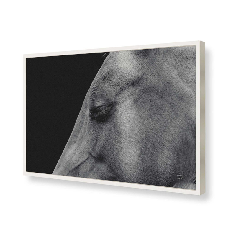 «Rest» par Nathan Larson, reproduction d'art, 30 W x 20 H, White, Framed Print