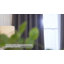 260 GSM Blackout Pencil Pleated Thermal Curtain (Set Of 2)-113294773-113294770