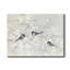 Nature's Confetti II - impression sur toile tendue-154737990