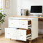 Classeur multifonctionnel, classeur de style nordique