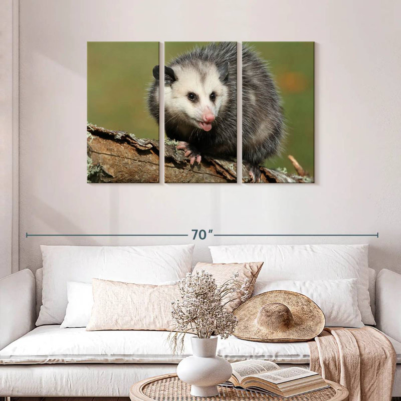 Brampt Angry Opossum, 28" H x 45" W