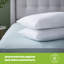 Silentnight Anti Allergy Mattress Protector And 2 Pillows Set-90847961
