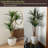 Primrue Set of Two Yucca Artificial Trees