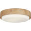 Richard June Transitional Aurelle Flush Mount Light-961378286