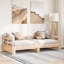 Rezo Solid Wood Daybed-1824206856-1824206859