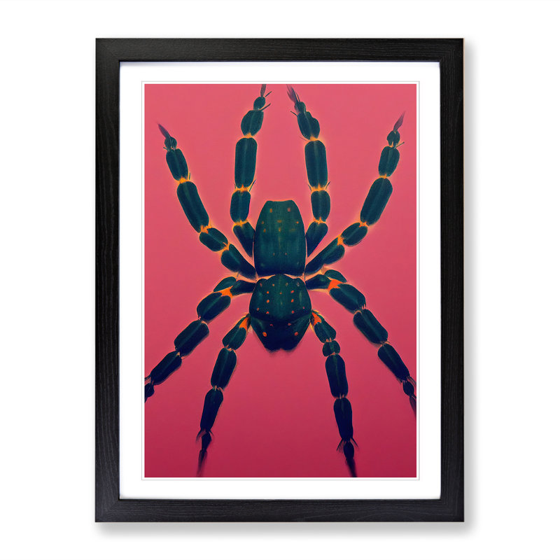 Spider - Single Picture Frame Painting, 64cm H x 46cm W x 2cm D, Oak
