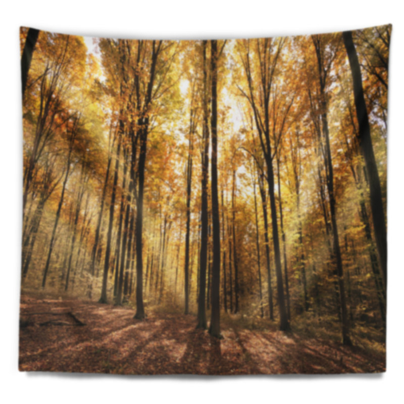 Tapisserie de soleil couchant sur une forêt d'automne dense, H 78 po x l 92 po
