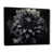 Cadre flottant noir