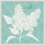 «Spring Delight IV» par Anne Tavoletti, reproduction d'art sur toile encadrée-1379652311