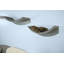 Lotus Leaf Cat Perch-217231226