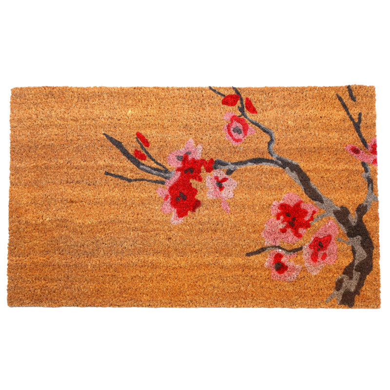 Paillasson Aleca, 18'' x 30'' Non-Slip