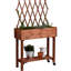 Elevated Planter with Trellis-926903292