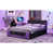Purple/Black