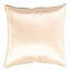 Silk Throw Square Pillow Cover & Insert-1343035962