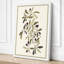 Olive Branches Study Botanical - Wrapped Canvas-1543131290-1543131293
