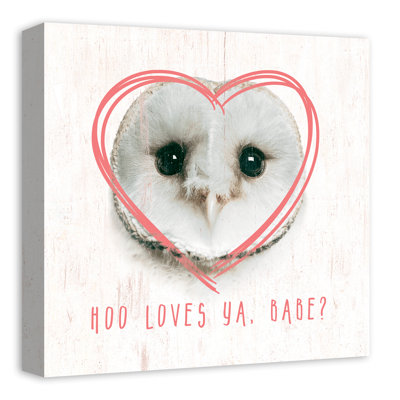 Hibou love Mccreery