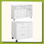 Mobile Storage Cabinet,Printer Stand Unit,Office Storage Cabinet