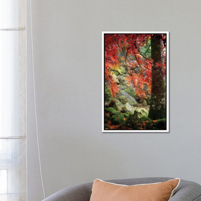 Rock Garden by Philippe Sainte-Laudy - Print on Canvas