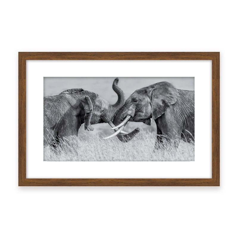 Nature Inspired Elephant Tai Chi by  - Picture Frame Photograph on Paper, Framed Canvas, 16" H x 24" W x 2.375" D, White
