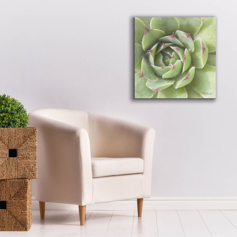 "Epic Graffiti" Garden Succulents 2 Color "par Laura Marshall, art mural sur toile, H 26 po x l 26 po