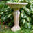 Espino Grecian Column Freestanding Glass Fiber Reinforced Concrete Outdoor Bird Bath-2071130320