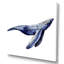 Baleine bleue sur fond blanc - peinture sur toile-66806073-66806079