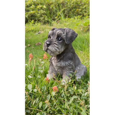 Sitting Schnauzer Puppy Statue