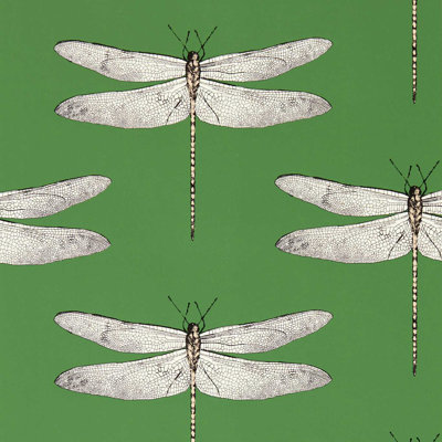 Demoiselle